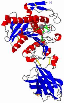 Image Asym./Biol. Unit - sites