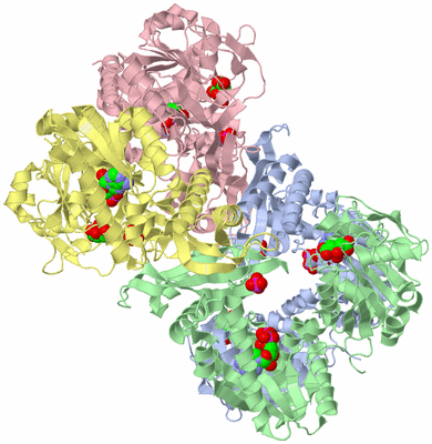 Image Asym./Biol. Unit