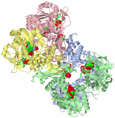 Image Asym./Biol. Unit - sites