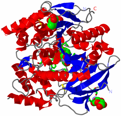 Image Asym./Biol. Unit - sites