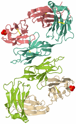 Image Asymmetric Unit