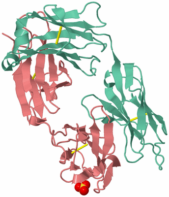 Image Biological Unit 1