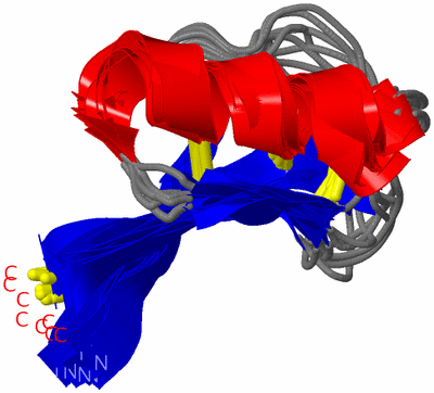 Image NMR Structure - all models