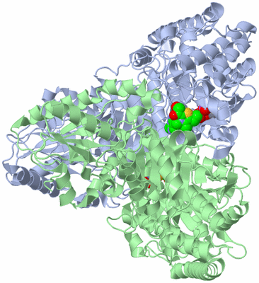 Image Asym./Biol. Unit