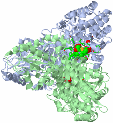 Image Asym./Biol. Unit - sites