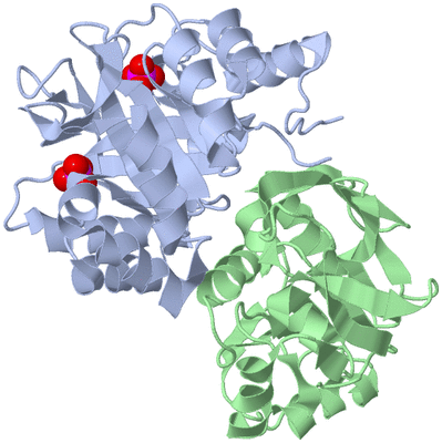 Image Biological Unit 1