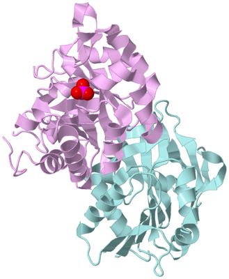 Image Biological Unit 3