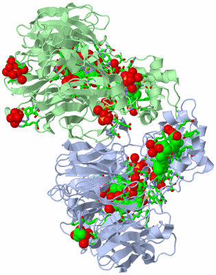 Image Asym./Biol. Unit - sites
