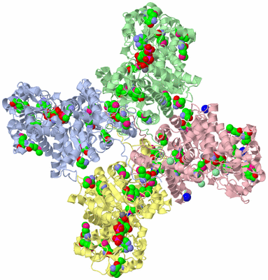 Image Biological Unit 1