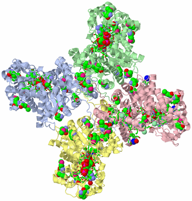 Image Biol. Unit 1 - sites