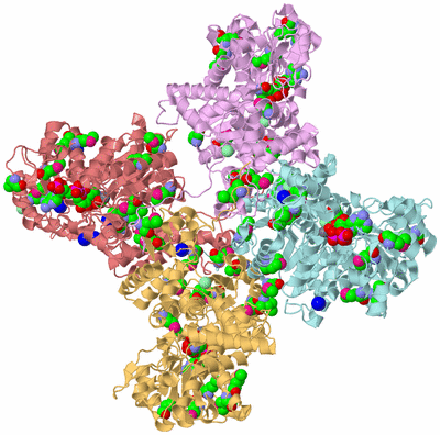 Image Biological Unit 2