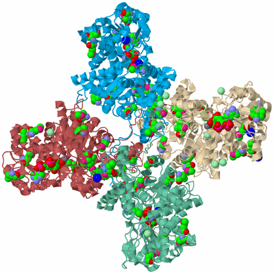 Image Biological Unit 3