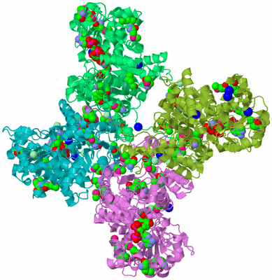 Image Biological Unit 4