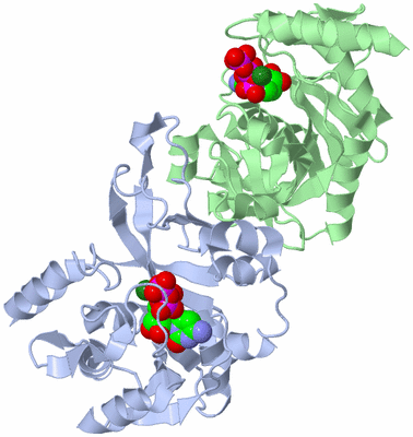 Image Asym./Biol. Unit