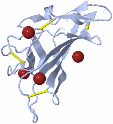 Image Biological Unit 1