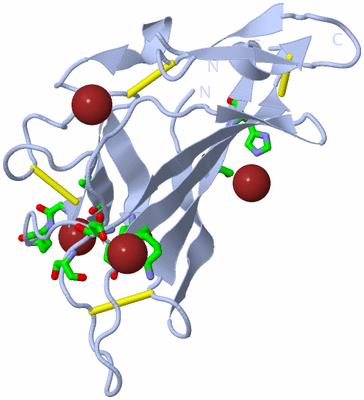 Image Biol. Unit 1 - sites