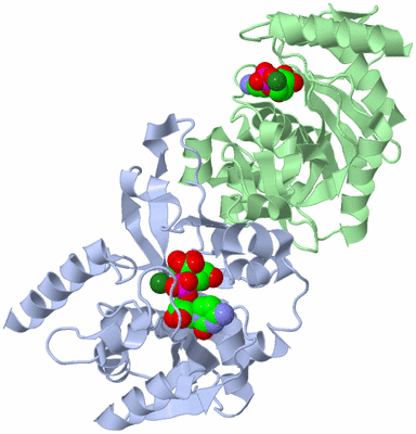 Image Asym./Biol. Unit