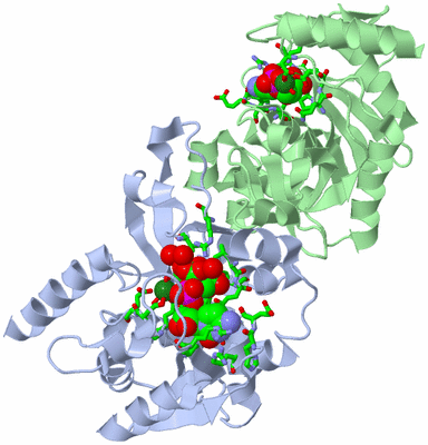 Image Asym./Biol. Unit - sites