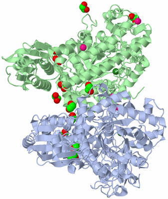 Image Asym./Biol. Unit