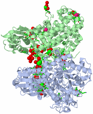 Image Asym./Biol. Unit - sites