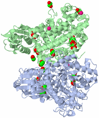 Image Asym./Biol. Unit