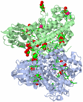 Image Asym./Biol. Unit - sites