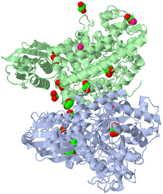 Image Asym./Biol. Unit