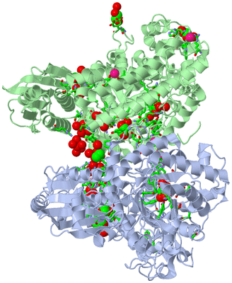 Image Asym./Biol. Unit - sites