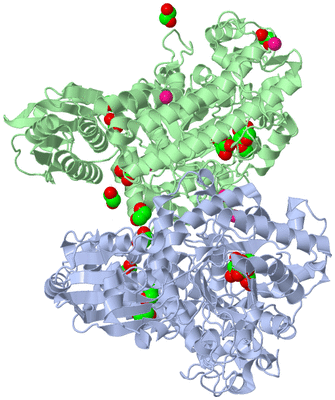 Image Asym./Biol. Unit