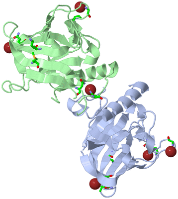 Image Asym./Biol. Unit - sites