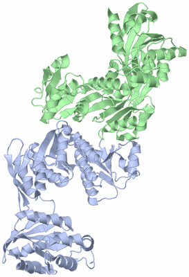 Image Asym./Biol. Unit