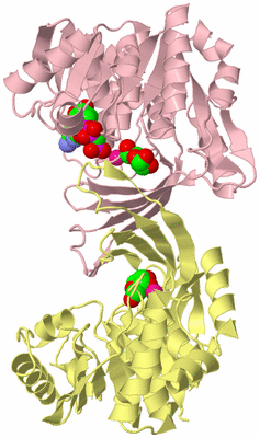 Image Biological Unit 2