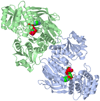 Image Asym./Biol. Unit