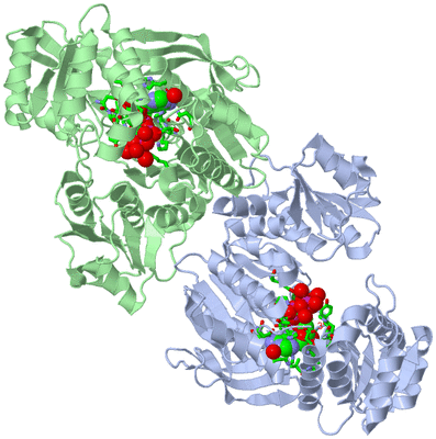 Image Asym./Biol. Unit - sites