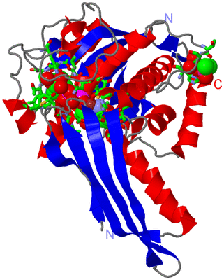 Image Asym. Unit - sites