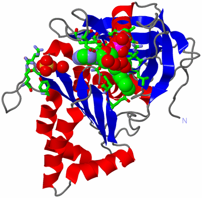 Image Asym./Biol. Unit - sites