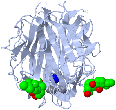 Image Biological Unit 1