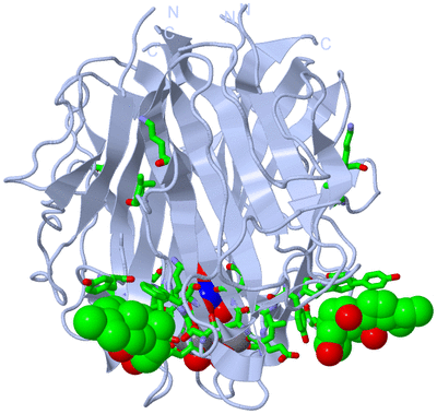 Image Biol. Unit 1 - sites