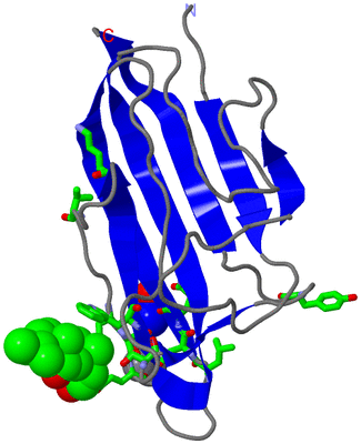 Image Asym. Unit - sites