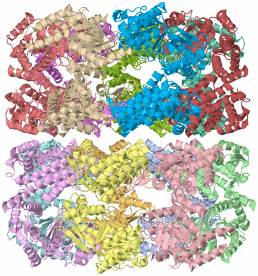 Image Asym./Biol. Unit