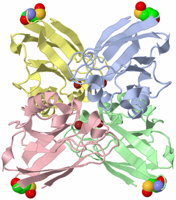 Image Asym./Biol. Unit