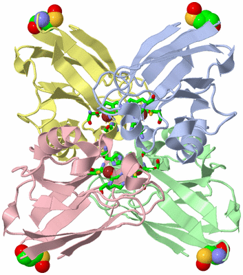 Image Asym./Biol. Unit - sites