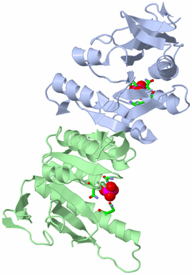 Image Asym./Biol. Unit - sites