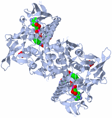 Image Biological Unit 1