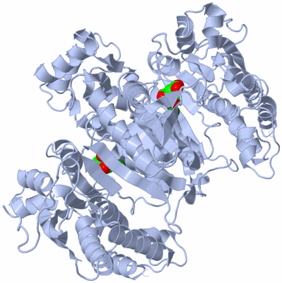 Image Biological Unit 1