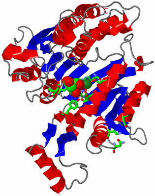 Image Asym. Unit - sites