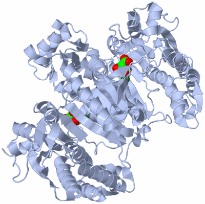 Image Biological Unit 1