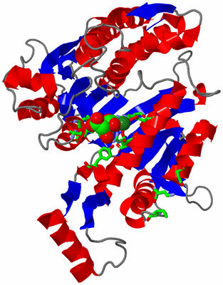 Image Asym. Unit - sites