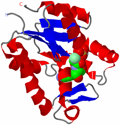 Image Asymmetric Unit