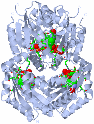 Image Biol. Unit 1 - sites